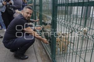AYUNTAMIENTO . ESTANCIA PARA EL BIENESTAR ANIMAL