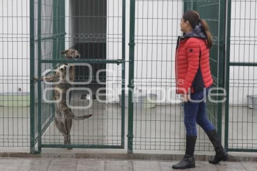 AYUNTAMIENTO . ESTANCIA PARA EL BIENESTAR ANIMAL