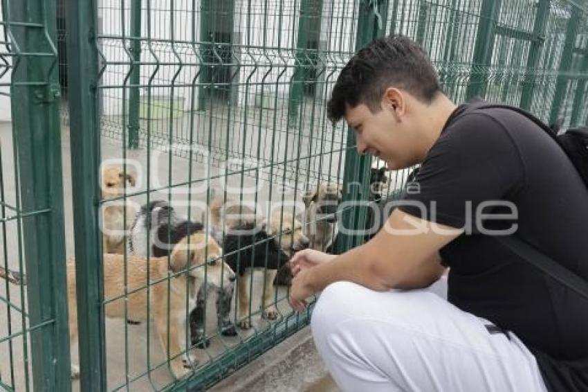 AYUNTAMIENTO . ESTANCIA PARA EL BIENESTAR ANIMAL