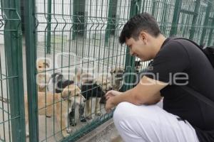 AYUNTAMIENTO . ESTANCIA PARA EL BIENESTAR ANIMAL
