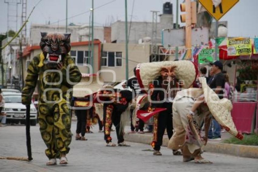 ACATLÁN . TECUANES