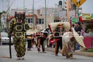 ACATLÁN . TECUANES