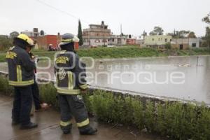 VASO REGULADOR . PUENTE NEGRO