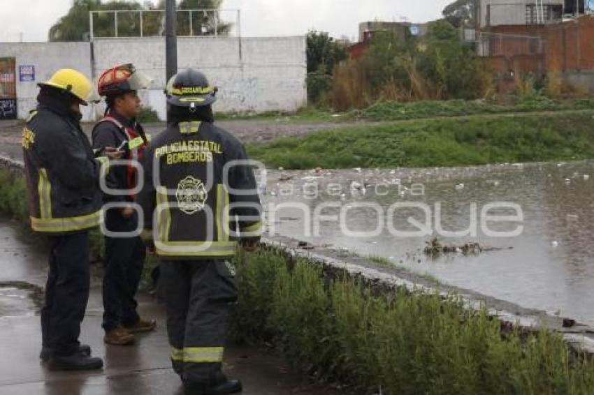 VASO REGULADOR . PUENTE NEGRO