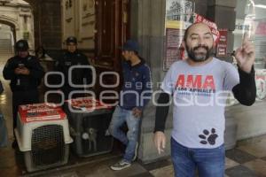 MANIFESTACIÓN . ANIMALISTA