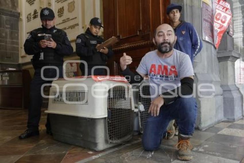 MANIFESTACIÓN . ANIMALISTA