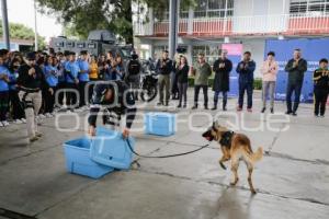 AYUNTAMIENTO . RALLY POR LA PAZ