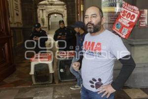 MANIFESTACIÓN . ANIMALISTA