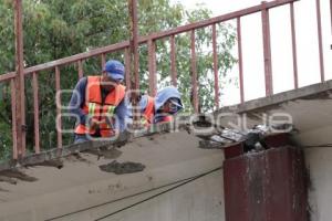 PUENTE PEATONAL . CENHCH