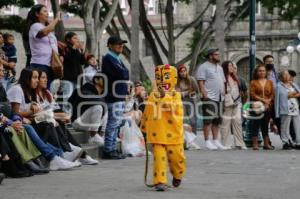 TECUANES