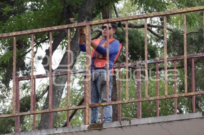PUENTE PEATONAL . CENHCH