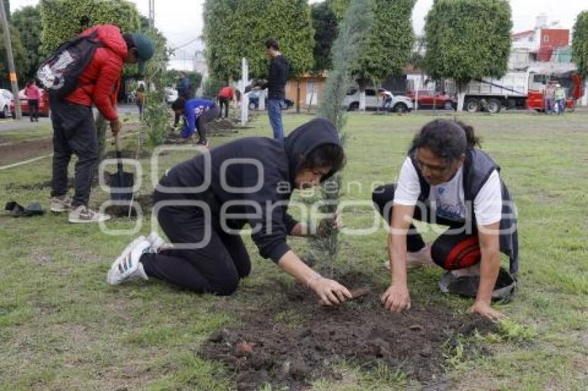 SAN ANDRÉS CHOLULA . REFORESTACIÓN