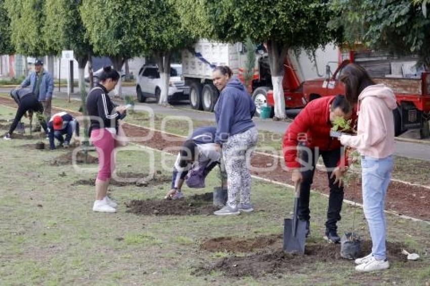 SAN ANDRÉS CHOLULA . REFORESTACIÓN