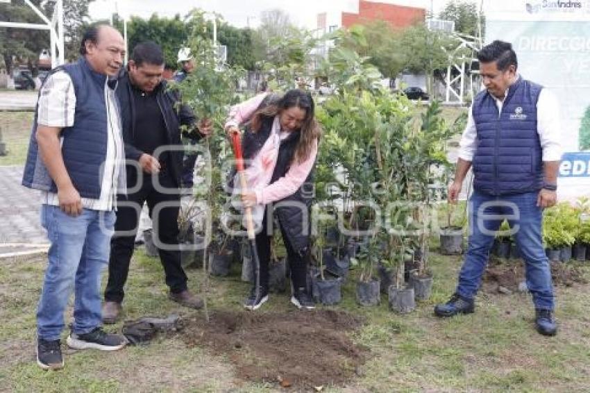 SAN ANDRÉS CHOLULA . REFORESTACIÓN