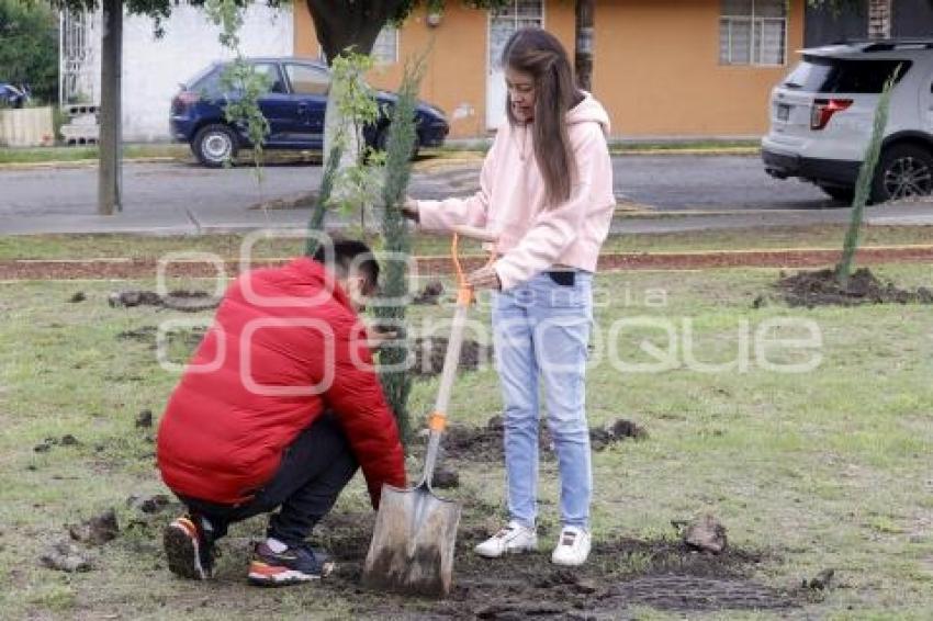 SAN ANDRÉS CHOLULA . REFORESTACIÓN