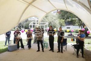 FESTIVAL COLORES