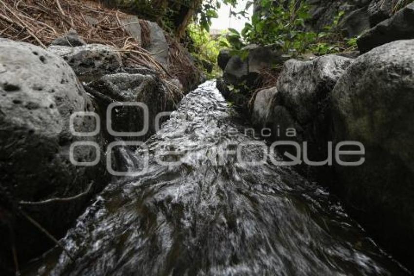 TLAXCALA . MANANTIALES AMAXAC