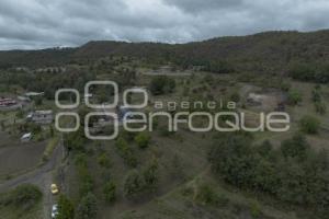 CHILES EN NOGADA . PRODUCTORES