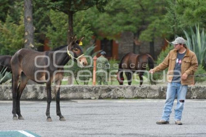TLAXCALA . DONACIÓN HÍBRIDOS SEDENA