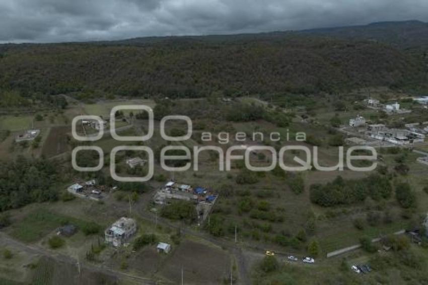 CHILES EN NOGADA . PRODUCTORES