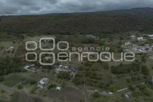 CHILES EN NOGADA . PRODUCTORES