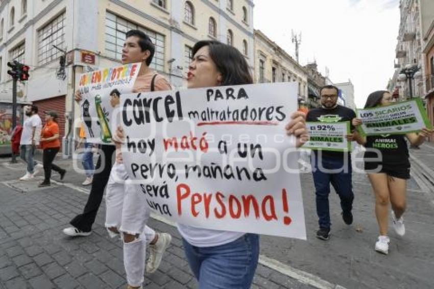 MANIFESTACIÓN . ANIMALISTAS