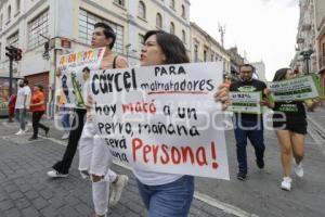 MANIFESTACIÓN . ANIMALISTAS