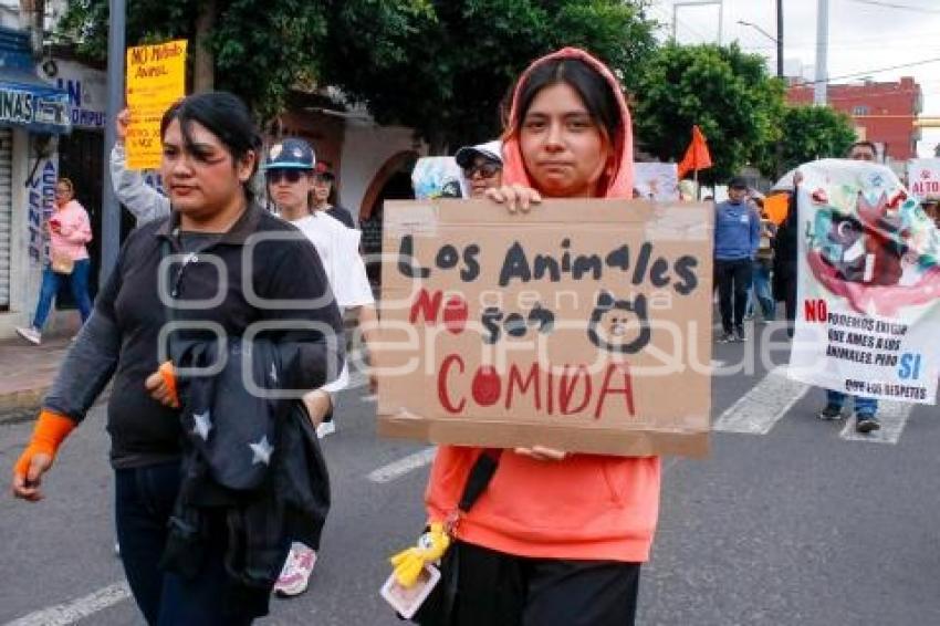 TLAXCALA . MARCHA ANIMALISTA