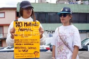 TLAXCALA . MARCHA ANIMALISTA 
