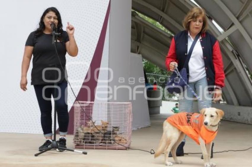 ADOPCIÓN MASCOTAS