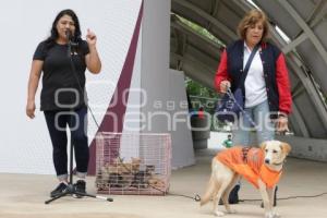 ADOPCIÓN MASCOTAS