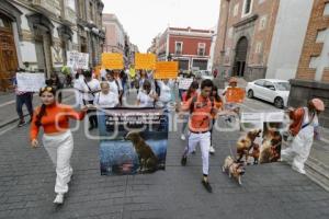 MANIFESTACIÓN . ANIMALISTAS