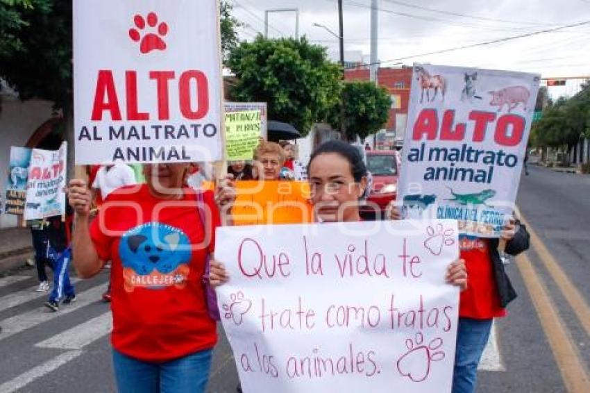 TLAXCALA . MARCHA ANIMALISTA