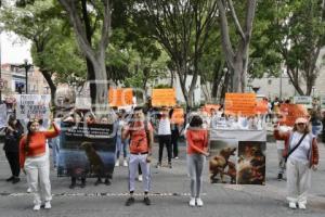 MANIFESTACIÓN . ANIMALISTAS