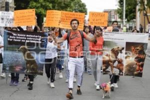 MANIFESTACIÓN . ANIMALISTAS