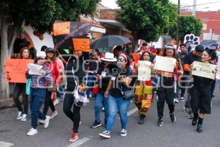 TLAXCALA . MARCHA ANIMALISTA
