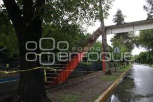 PUENTE PEATONAL . CENHCH