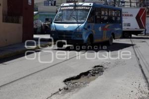 BACHES