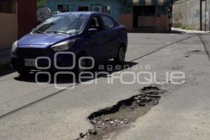 BACHES