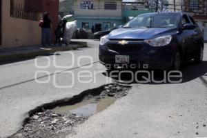 BACHES