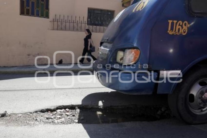BACHES