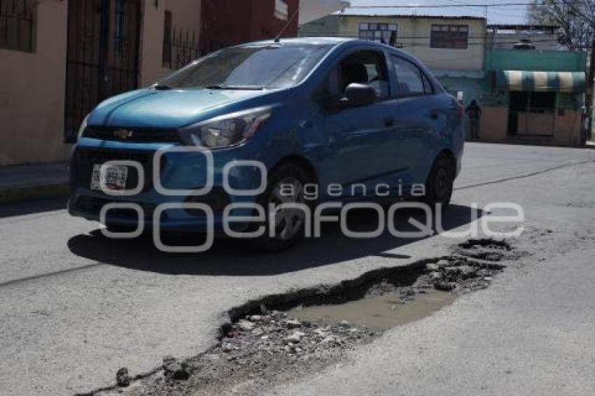 BACHES