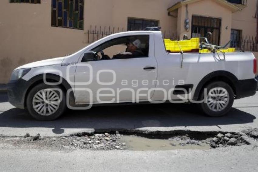 BACHES