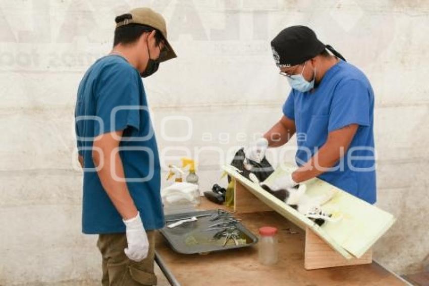TLAXCALA . JORNADA ESTERILIZACIÓN
