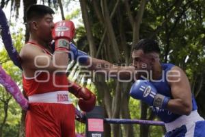 TORNEO DE BARRIOS