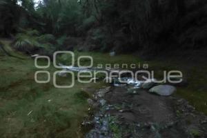TLAHUAPAN . SANTUARIO DE LA LUCIÉRNAGA