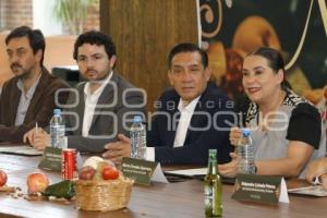 CANIRAC . CHILE EN NOGADA