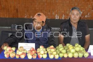 CHILE EN NOGADA . CATÁLOGO