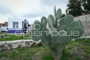 TLAXCALA . CUARTO DORMITORIO