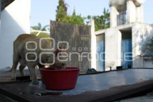 TLAXCALA . DESABASTO AGUA ACUITLAPILCO